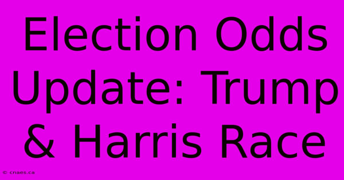 Election Odds Update: Trump & Harris Race