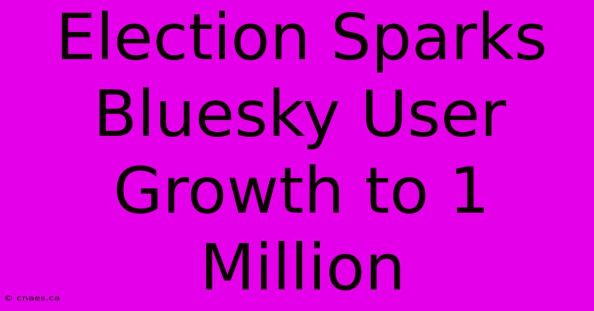 Election Sparks Bluesky User Growth To 1 Million