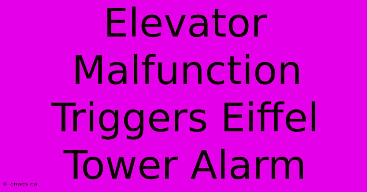 Elevator Malfunction Triggers Eiffel Tower Alarm