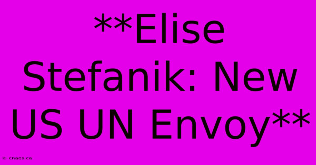 **Elise Stefanik: New US UN Envoy**