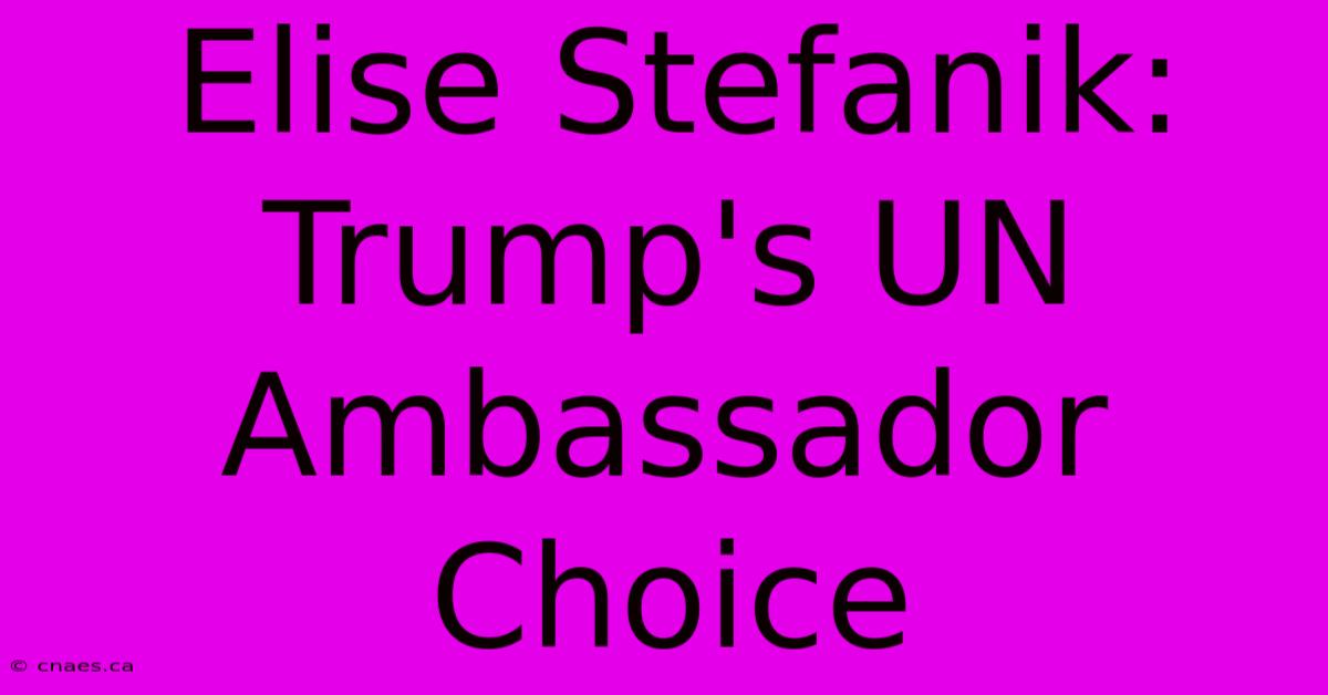 Elise Stefanik: Trump's UN Ambassador Choice