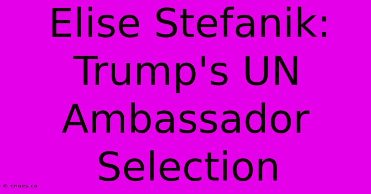 Elise Stefanik:  Trump's UN Ambassador Selection