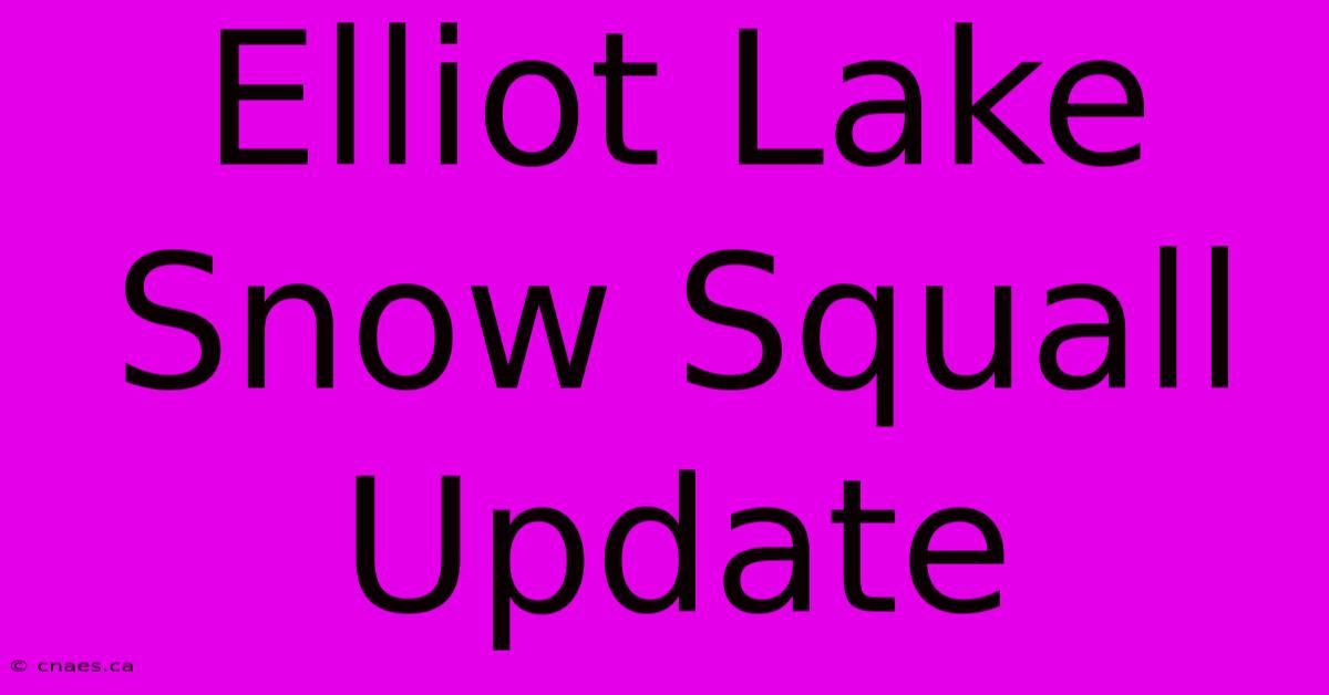 Elliot Lake Snow Squall Update