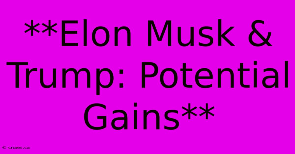 **Elon Musk & Trump: Potential Gains**