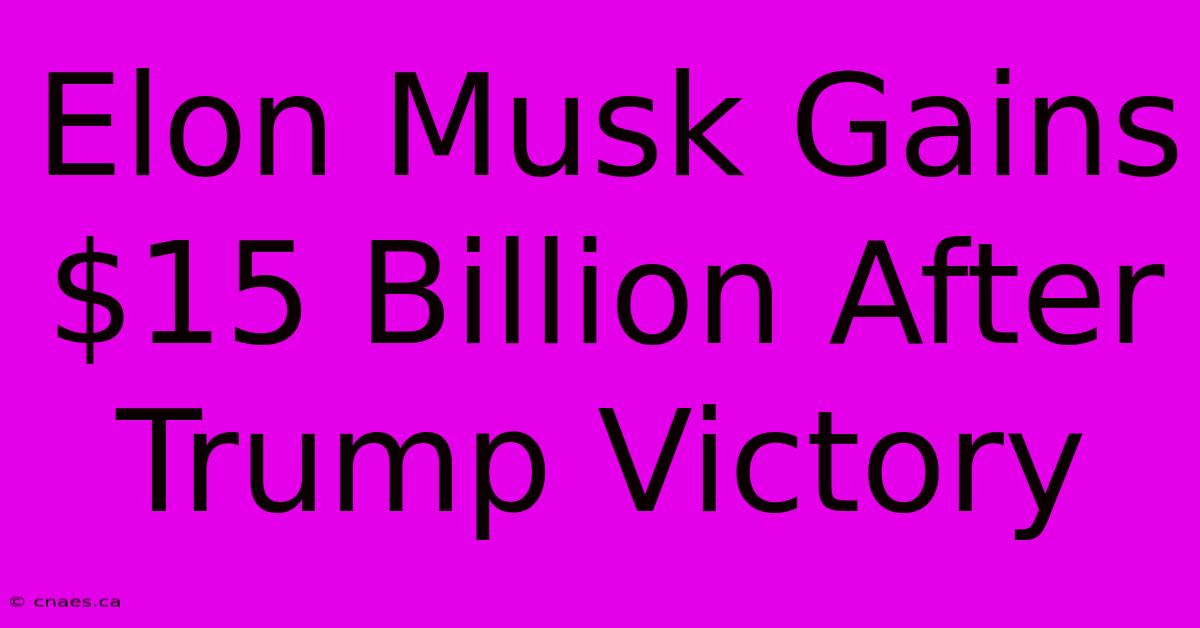 Elon Musk Gains $15 Billion After Trump Victory