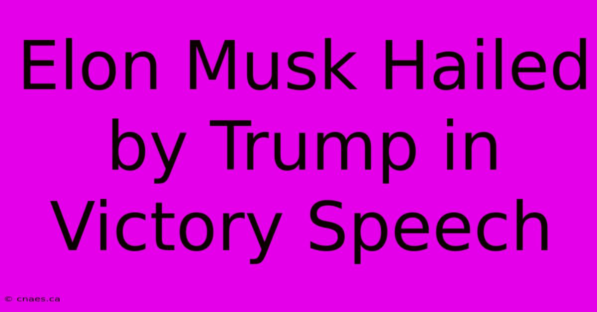 Elon Musk Hailed By Trump In Victory Speech