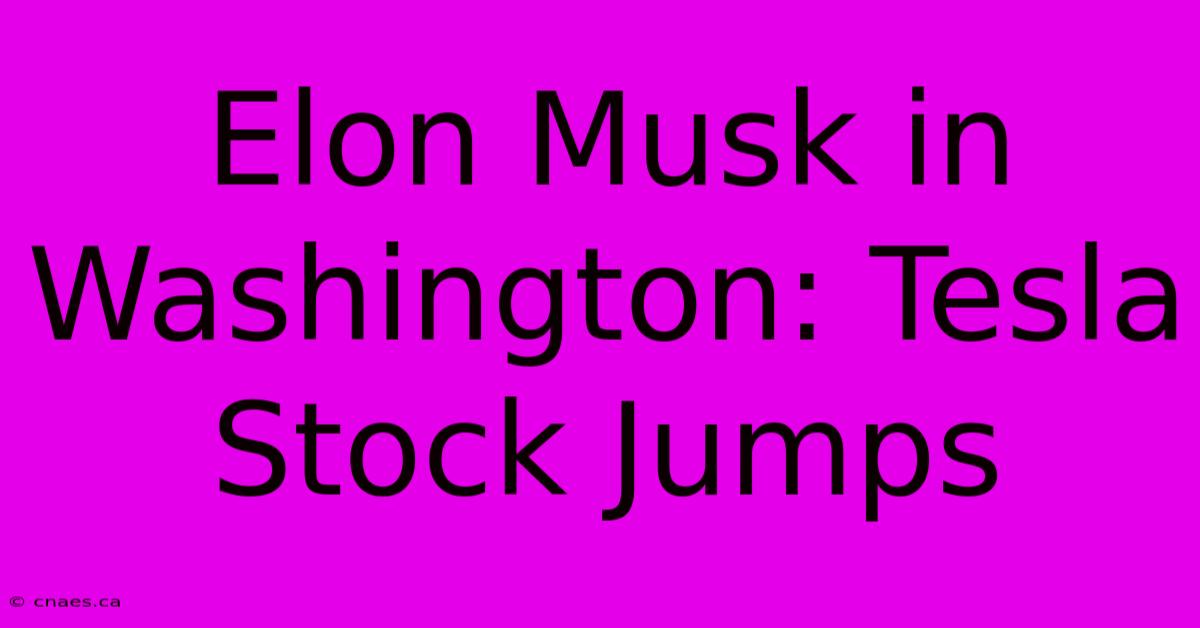 Elon Musk In Washington: Tesla Stock Jumps