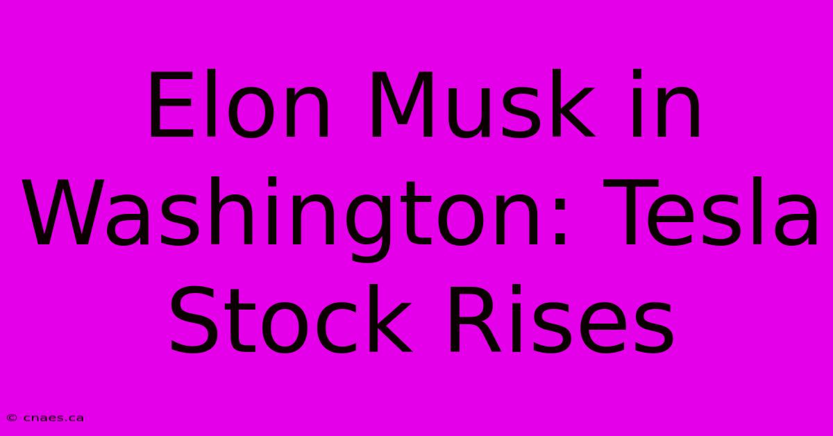 Elon Musk In Washington: Tesla Stock Rises