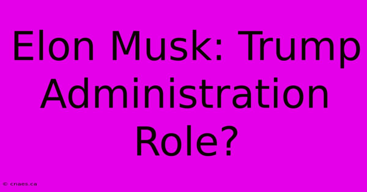 Elon Musk: Trump Administration Role?