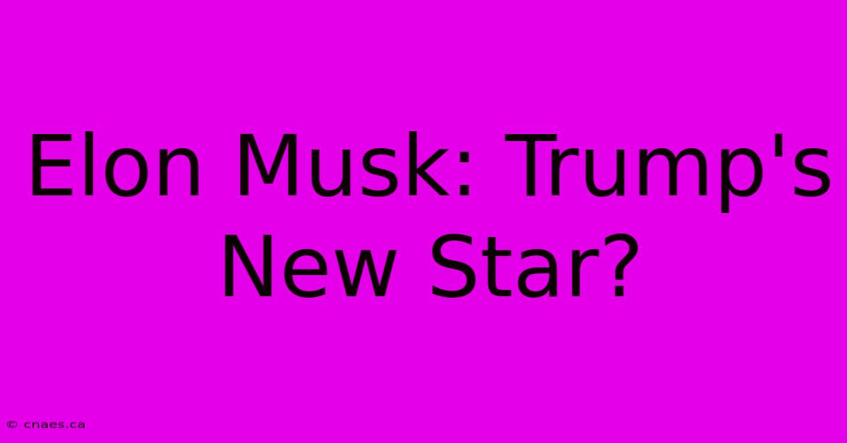 Elon Musk: Trump's New Star?