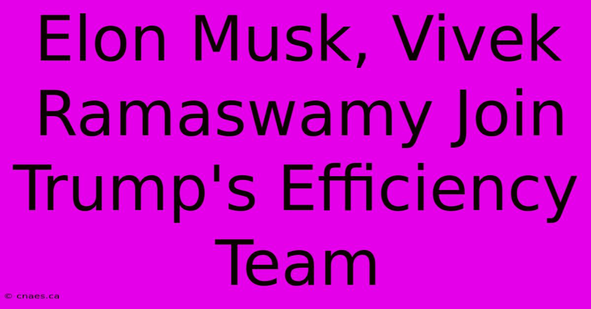 Elon Musk, Vivek Ramaswamy Join Trump's Efficiency Team