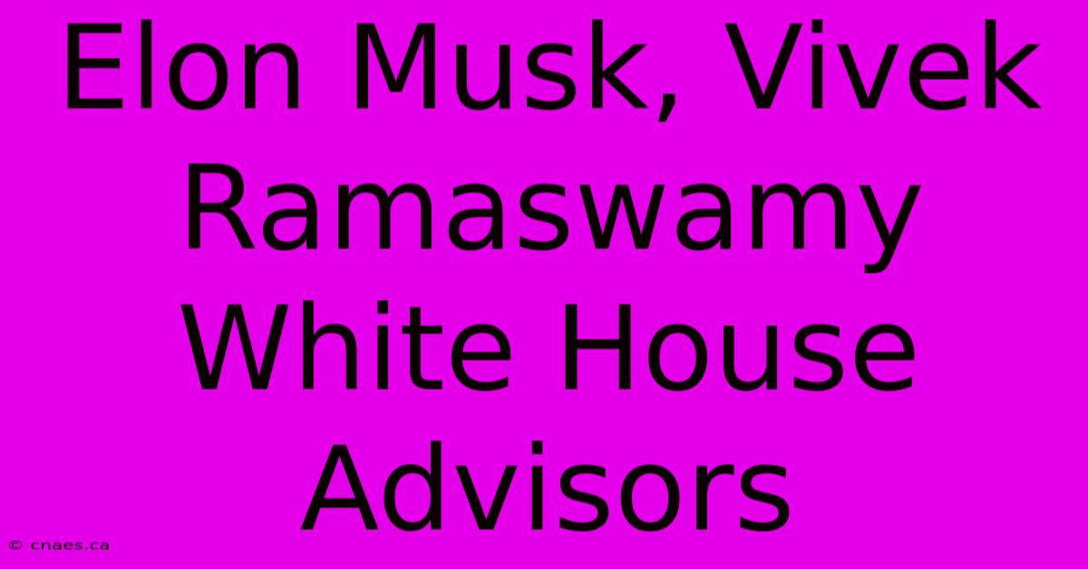 Elon Musk, Vivek Ramaswamy White House Advisors 