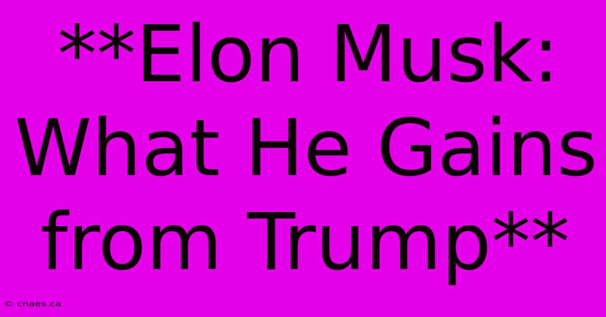 **Elon Musk: What He Gains From Trump**