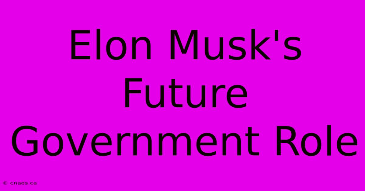 Elon Musk's Future Government Role