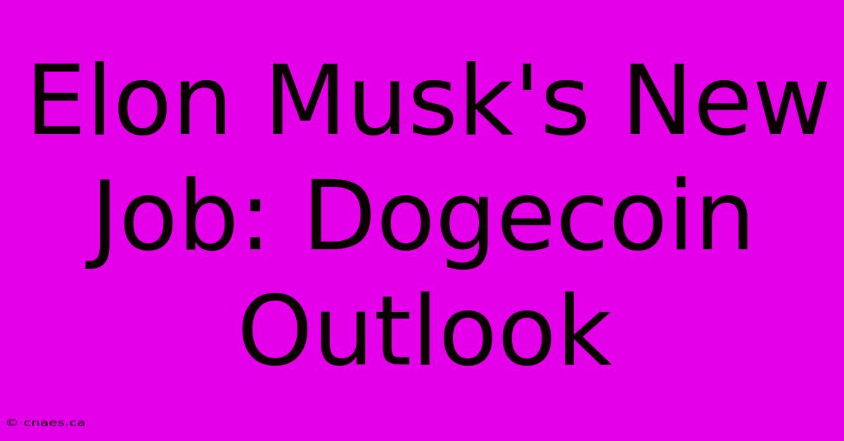 Elon Musk's New Job: Dogecoin Outlook