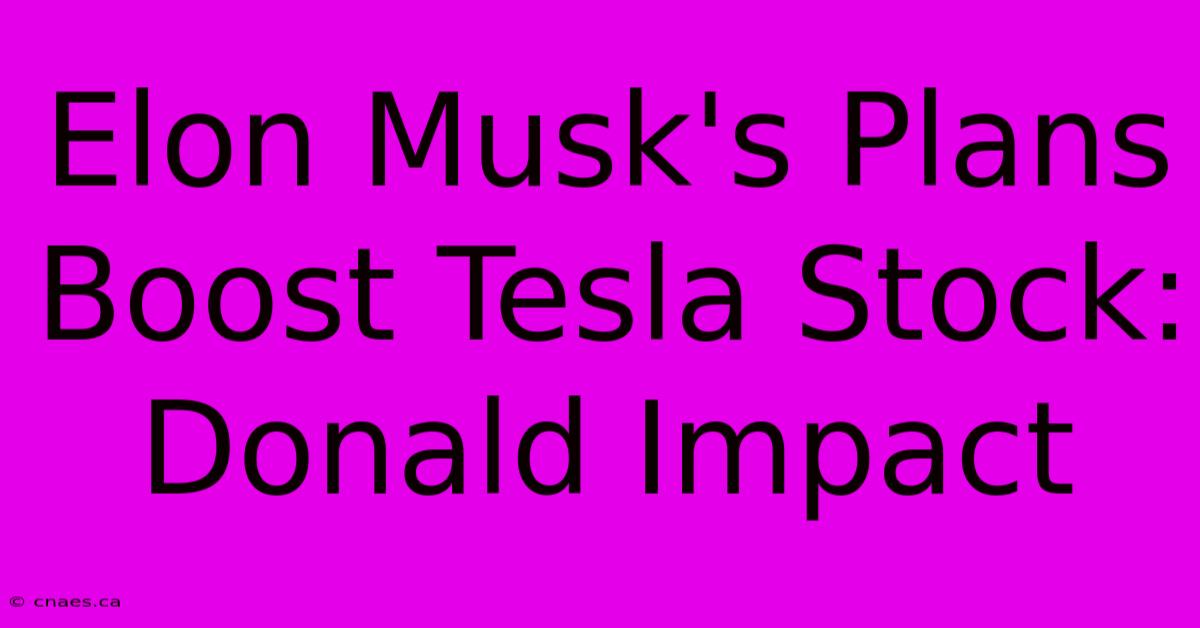 Elon Musk's Plans Boost Tesla Stock: Donald Impact