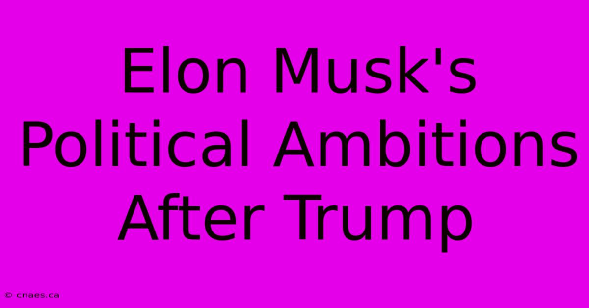 Elon Musk's Political Ambitions After Trump 