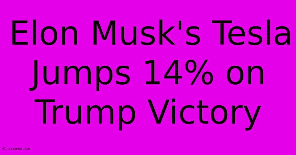 Elon Musk's Tesla Jumps 14% On Trump Victory