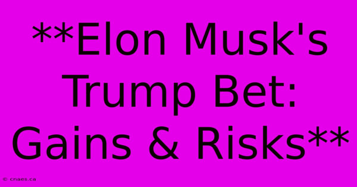 **Elon Musk's Trump Bet: Gains & Risks**