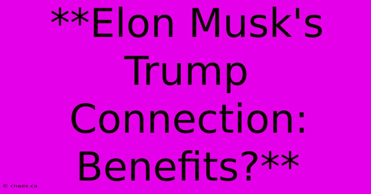 **Elon Musk's Trump Connection: Benefits?**