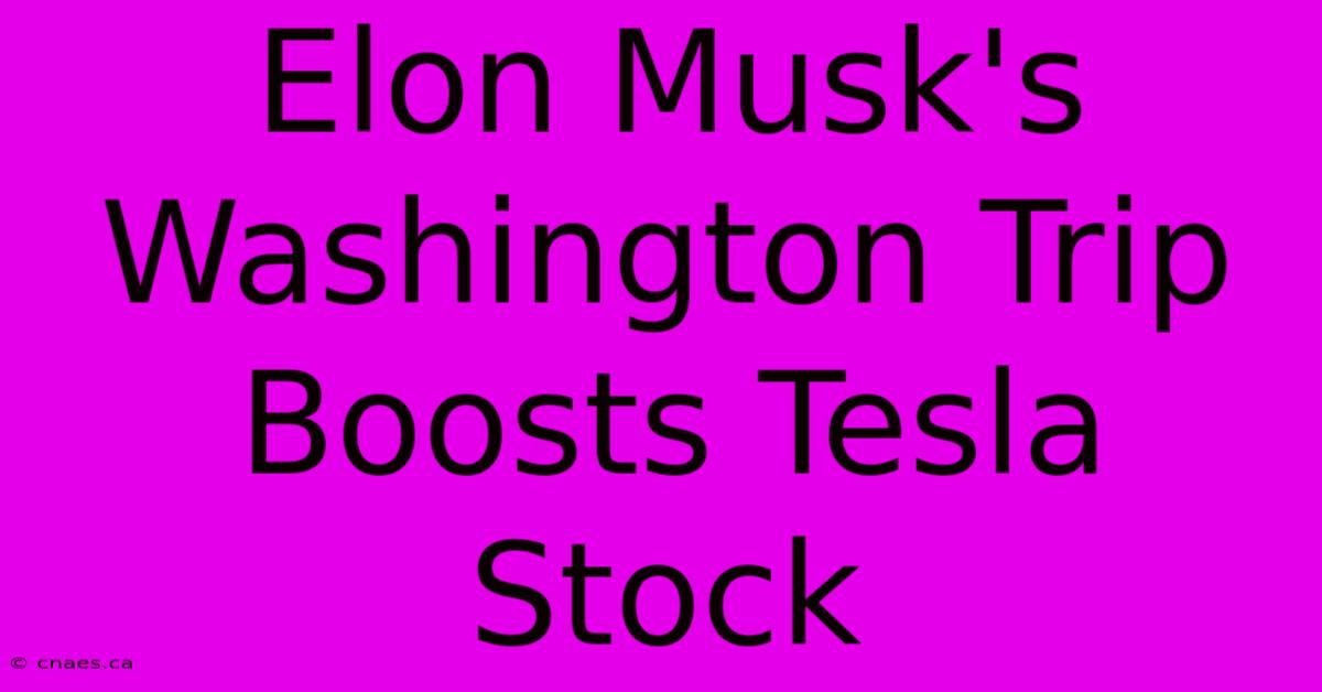 Elon Musk's Washington Trip Boosts Tesla Stock 