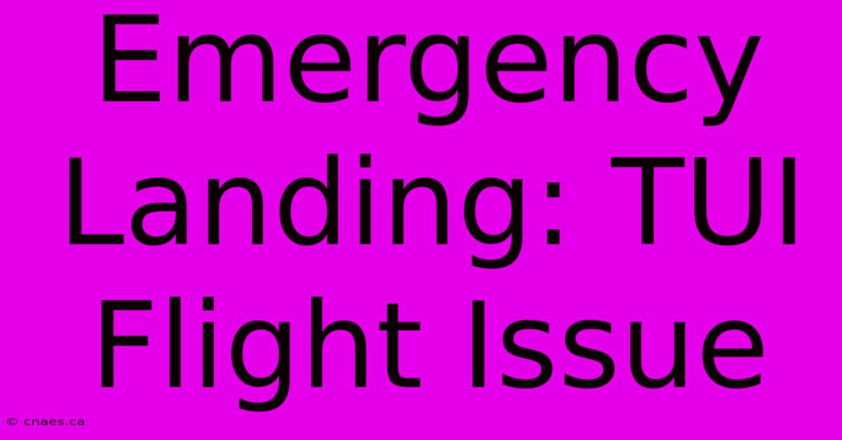 Emergency Landing: TUI Flight Issue