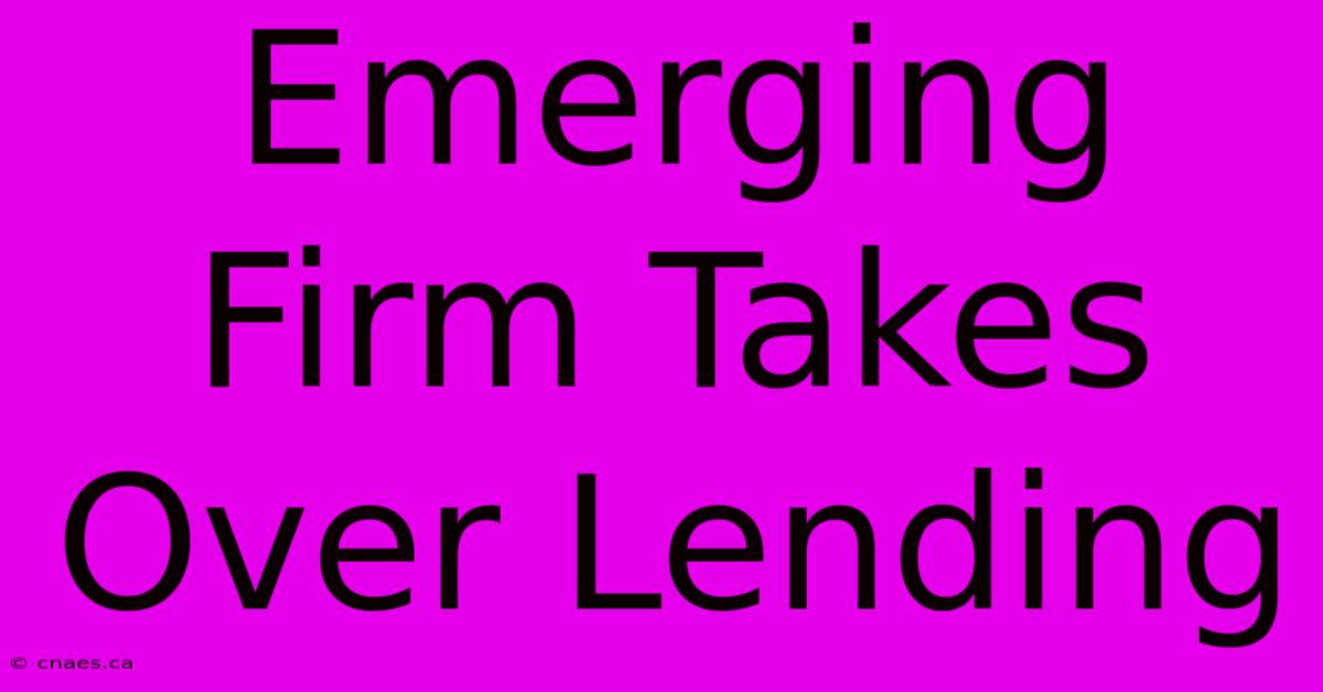 Emerging Firm Takes Over Lending