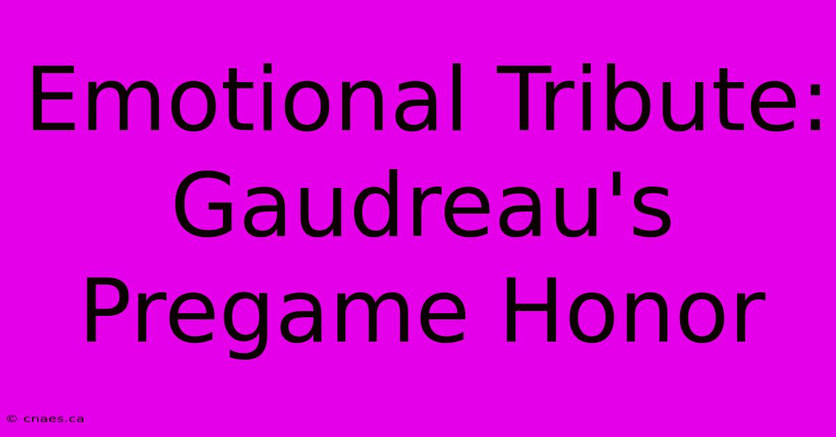 Emotional Tribute: Gaudreau's Pregame Honor