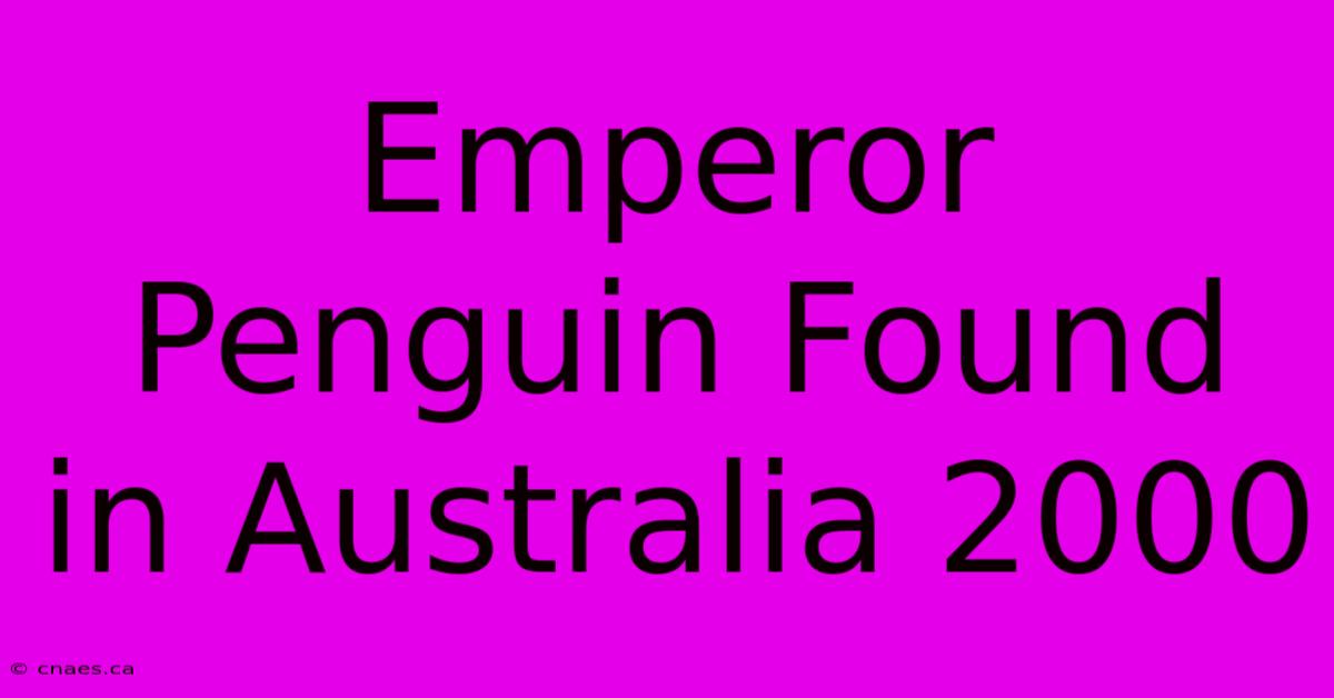 Emperor Penguin Found In Australia 2000