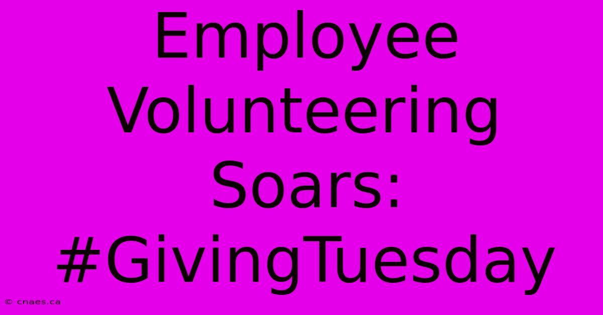 Employee Volunteering Soars: #GivingTuesday