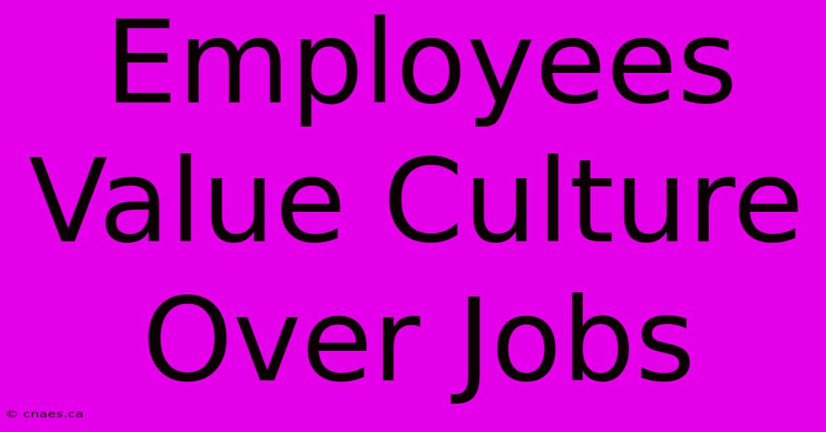 Employees Value Culture Over Jobs 