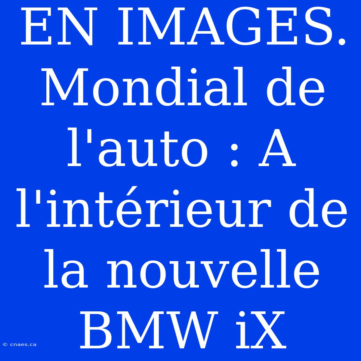 EN IMAGES. Mondial De L'auto : A L'intérieur De La Nouvelle BMW IX