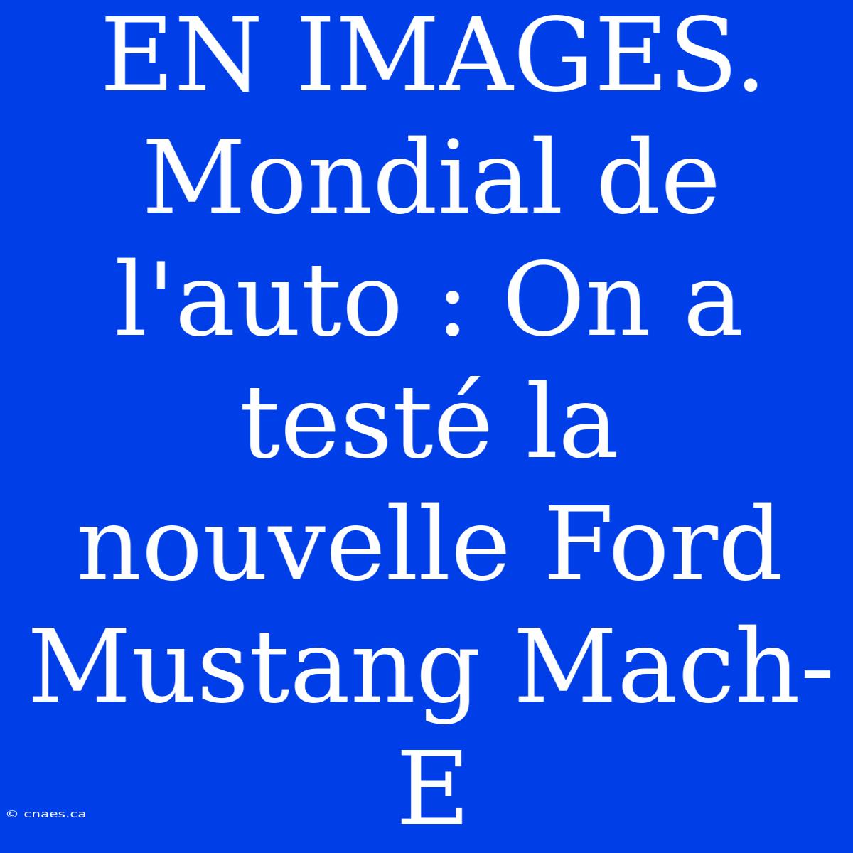 EN IMAGES. Mondial De L'auto : On A Testé La Nouvelle Ford Mustang Mach-E