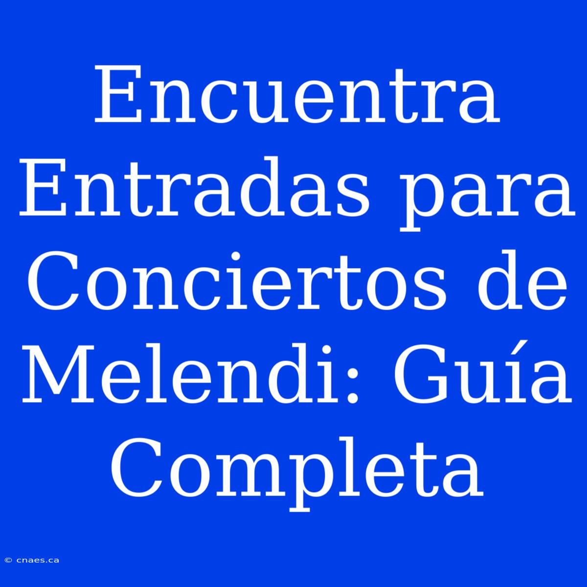 Encuentra Entradas Para Conciertos De Melendi: Guía Completa