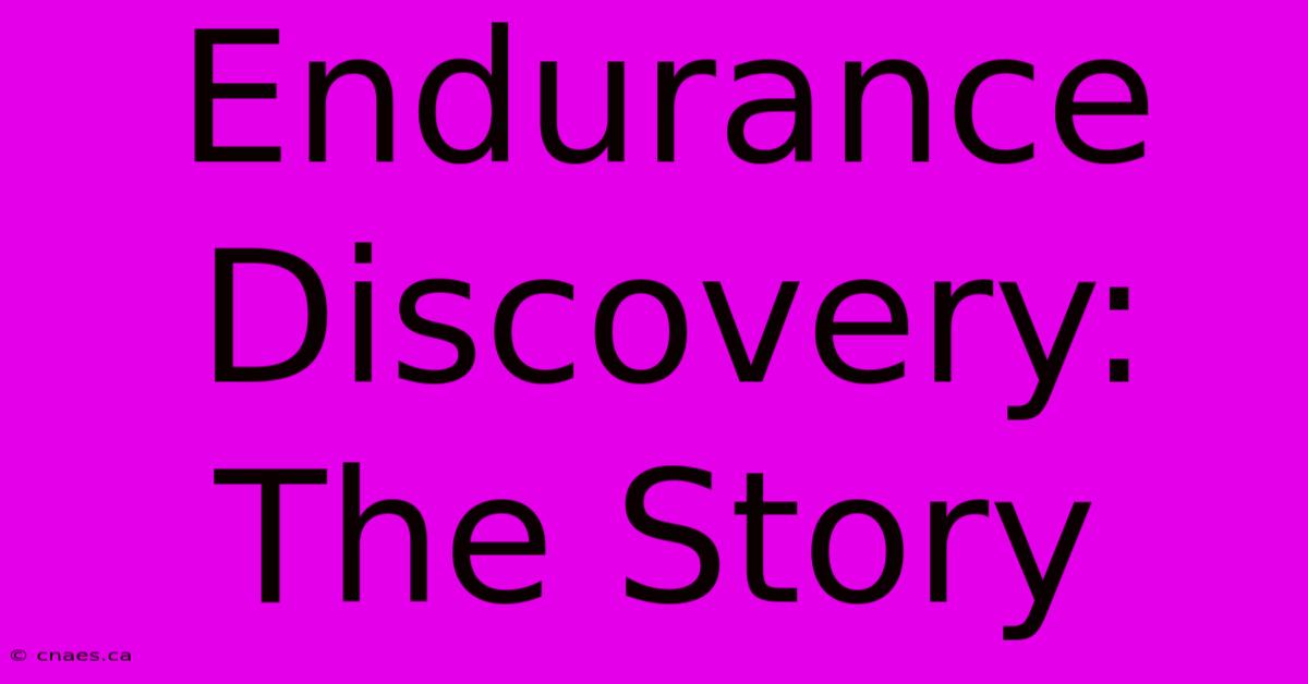 Endurance Discovery: The Story