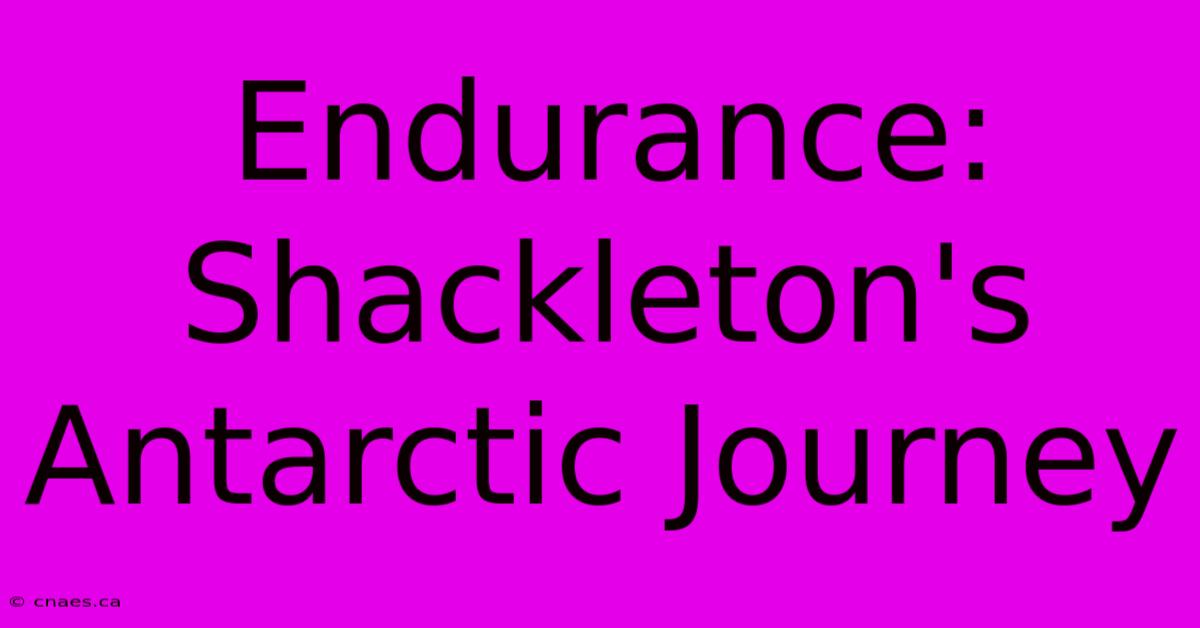 Endurance: Shackleton's Antarctic Journey