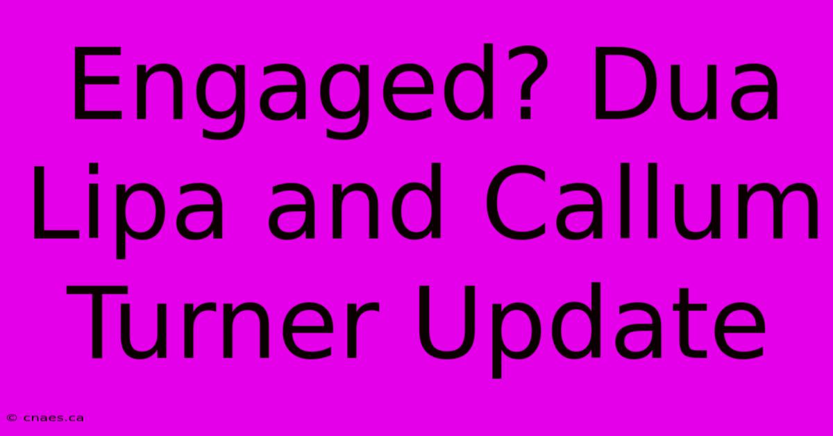 Engaged? Dua Lipa And Callum Turner Update