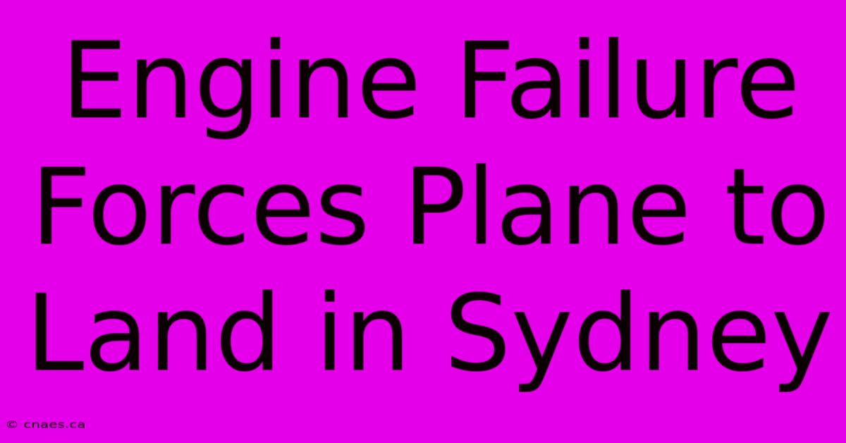 Engine Failure Forces Plane To Land In Sydney