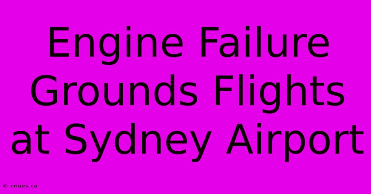 Engine Failure Grounds Flights At Sydney Airport