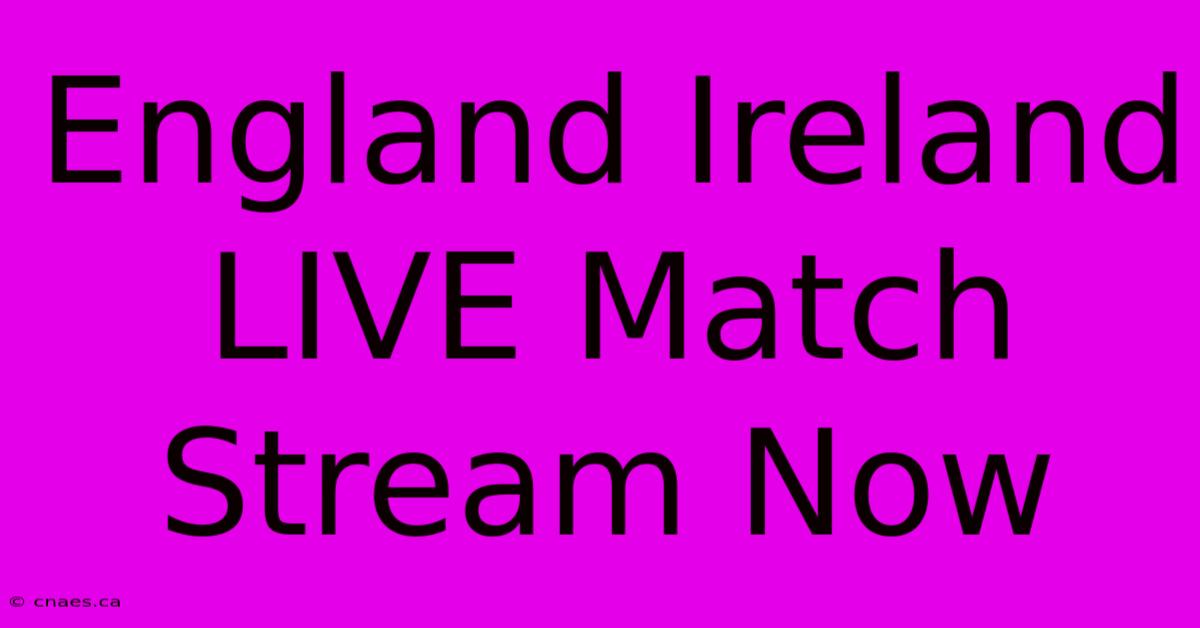 England Ireland LIVE Match Stream Now