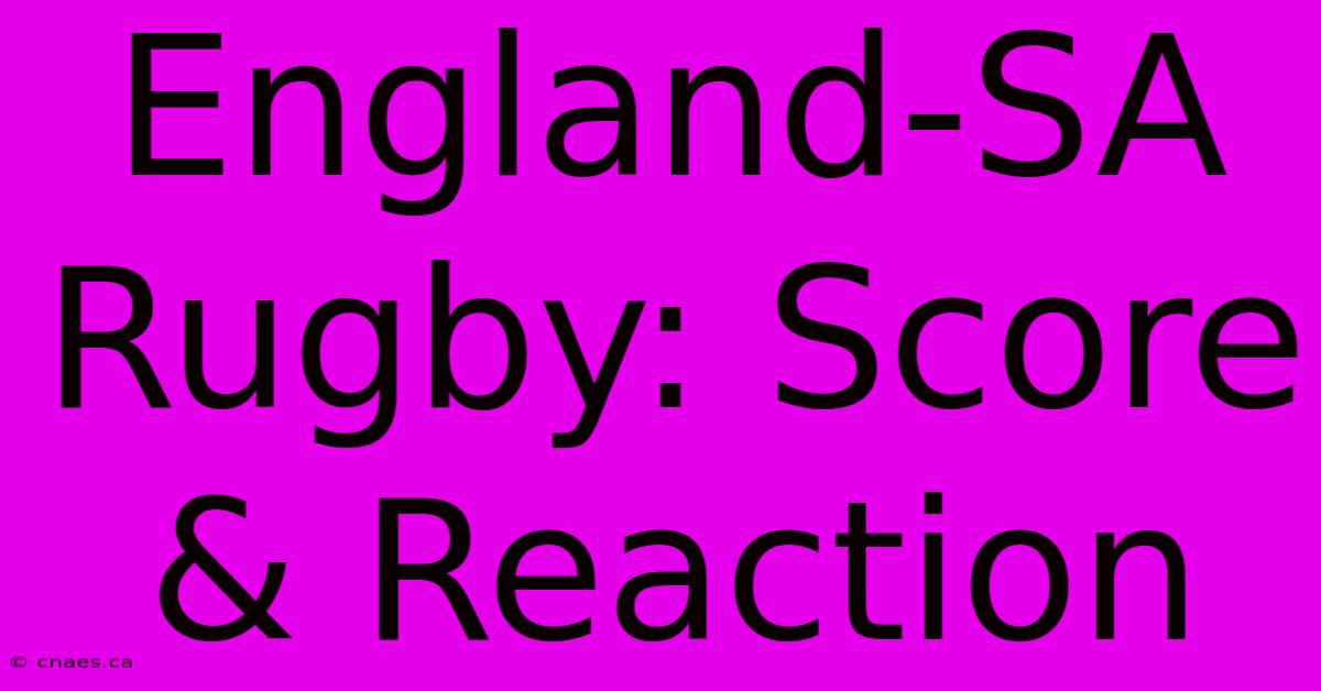 England-SA Rugby: Score & Reaction