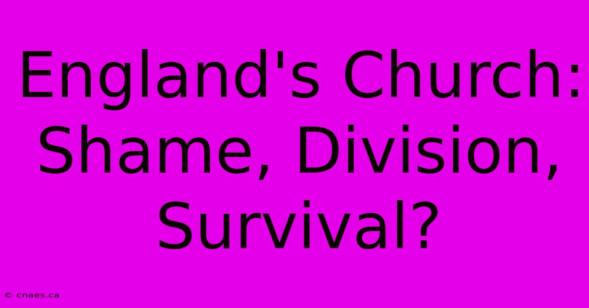 England's Church: Shame, Division, Survival?