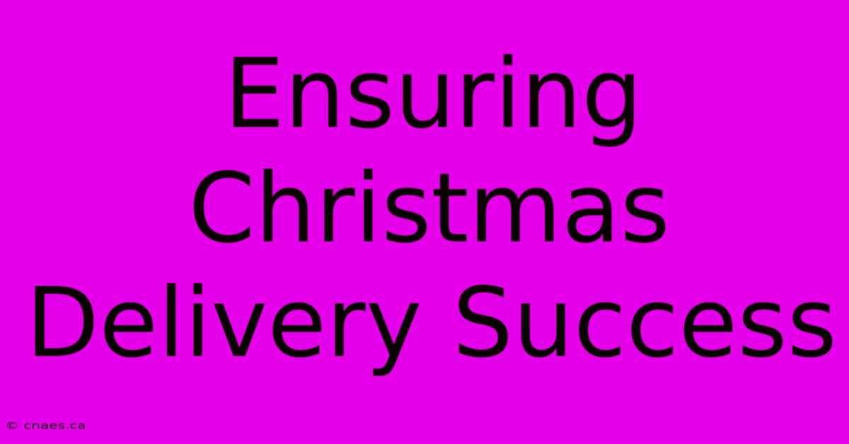 Ensuring Christmas Delivery Success