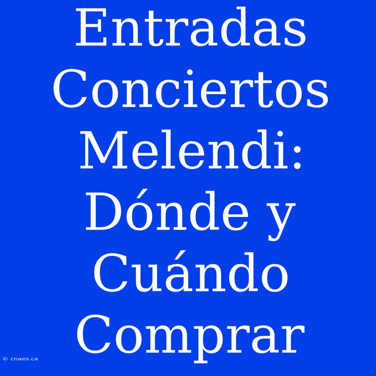 Entradas Conciertos Melendi: Dónde Y Cuándo Comprar