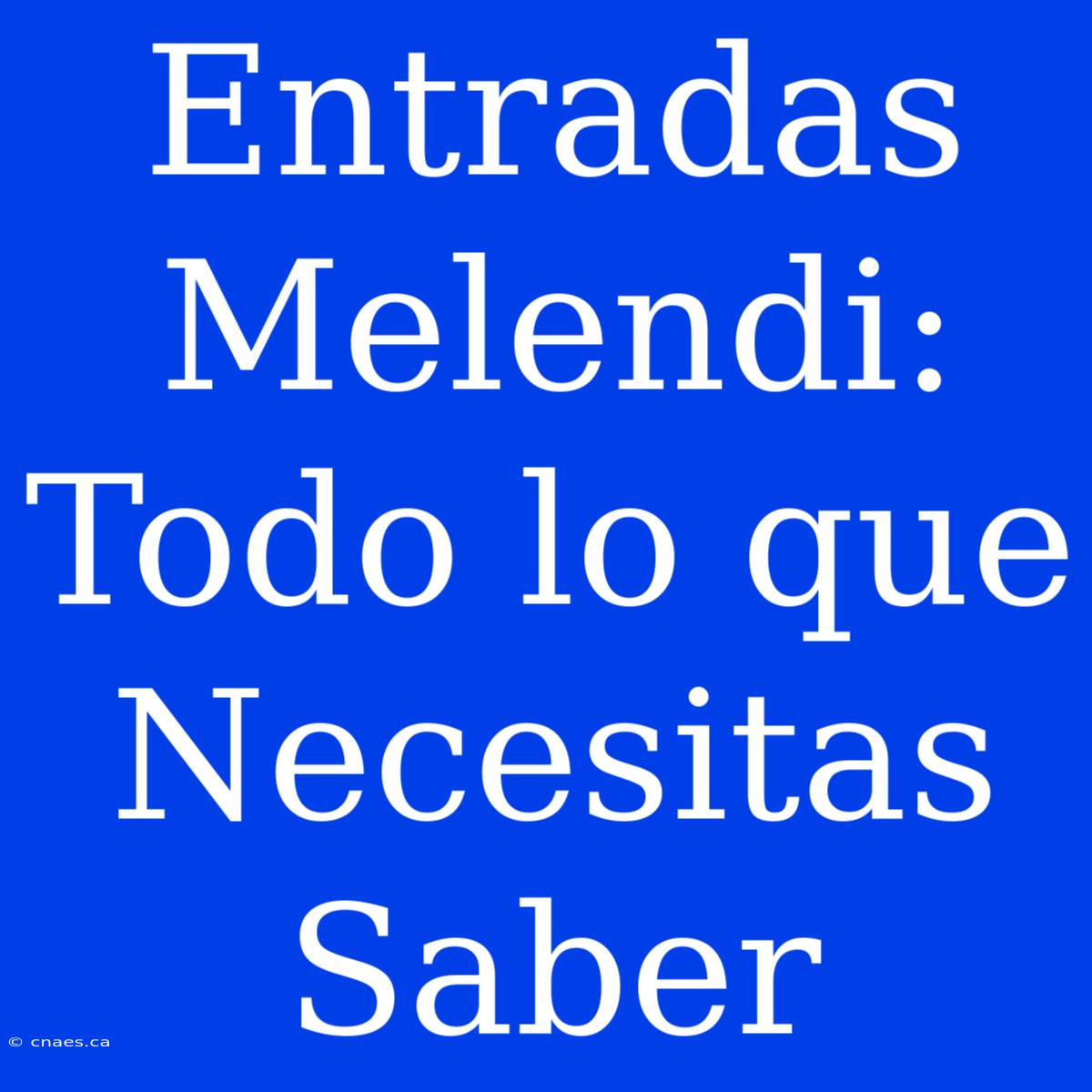 Entradas Melendi: Todo Lo Que Necesitas Saber