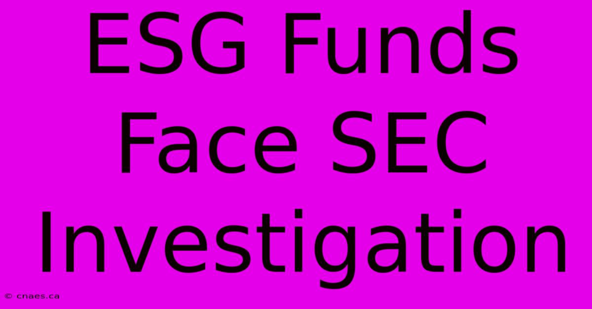 ESG Funds Face SEC Investigation