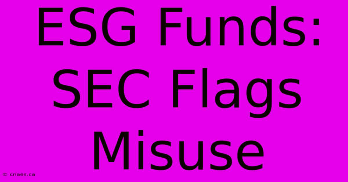 ESG Funds: SEC Flags Misuse