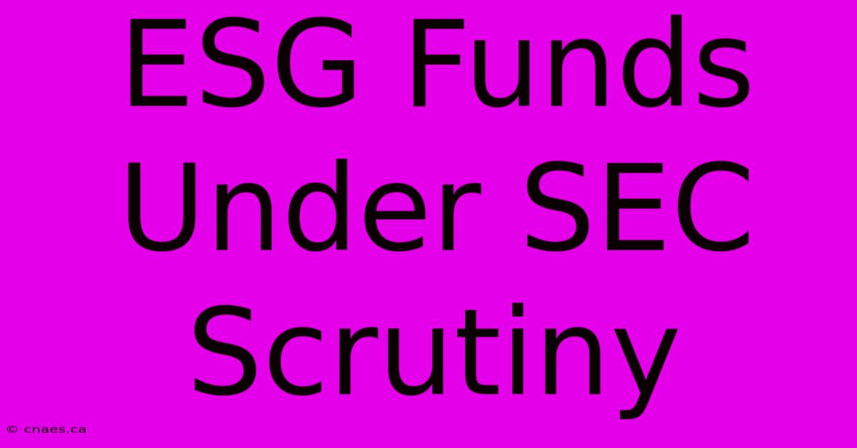 ESG Funds Under SEC Scrutiny