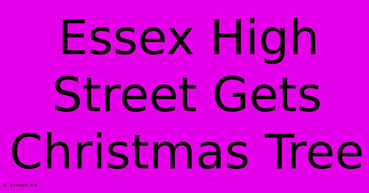 Essex High Street Gets Christmas Tree