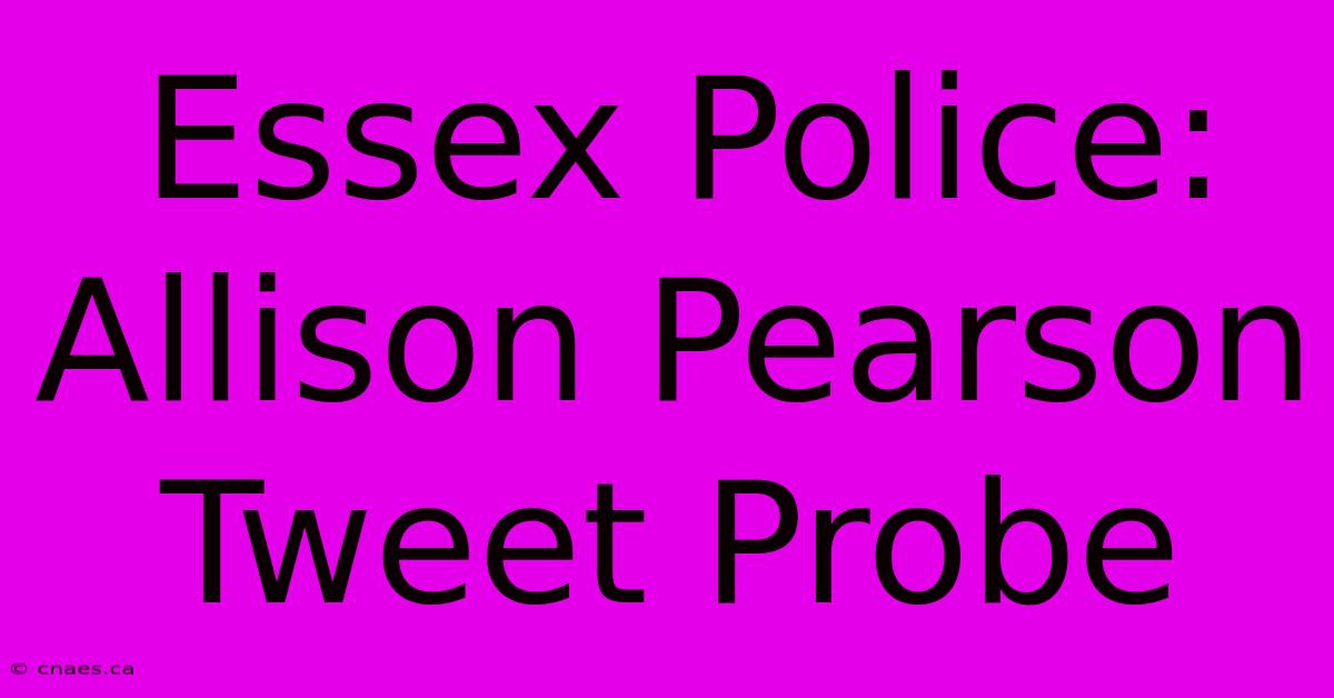 Essex Police: Allison Pearson Tweet Probe